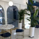 37.5하남미사점 이미지