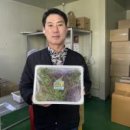 민영환경 네이버블로그