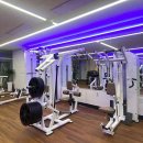 지와이 피티 이미지