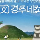 낭만필름 이미지