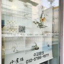 플라워마리포사