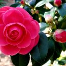 홍종현농장 이미지