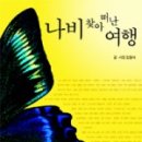 나비여행 이미지