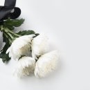 영진상사 이미지