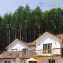 허브향기펜션 이미지