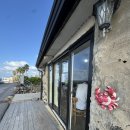 노라바 | 제주 노라바 해물라면 솔직 후기 기대보다 아쉬웠던 맛집 리뷰