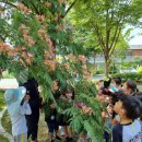 안성자연유치원 이미지