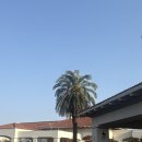 빠나나 - 중구 흑교로25번길 15 | 제주 태교여행 신라호텔 Wellness Retreat 패키지 후기