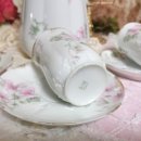 코테이지 이미지