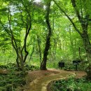 교래자연휴양림야영장 이미지