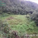 묵리주유소 이미지