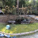 아미미술관 이미지