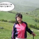 별빛동화 펜션 이미지