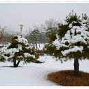 연담공원 Daum카페