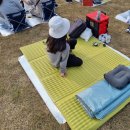21년 자라섬 재즈 페스티벌 후기 위드코로나 이후 첫 페스티벌 현황 재즈페스티벌 꿀팁 공유 (feat...