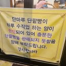단마루 이미지