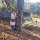흥복사 - 1313 | 흥복사