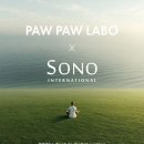 포포 스테이 이미지