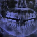 장현서울의원 이미지