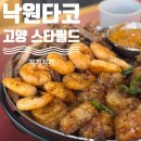 고양 스타필드 멕시코 타코 맛집 낙원타코 한우대창파히타 내돈내산 후기