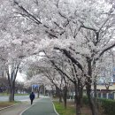 바다가 육지라면! - 고흥 거금도 용두봉(418.6m)~적대봉(587.4m) 이미지