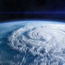 태풍이네 이미지