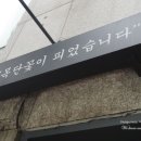 목단꽃이피었습니다. 이미지