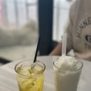 멍바라기 이미지