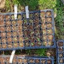 정위농장 이미지