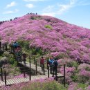 5월 지리산바래봉철쭉산행 사진들 이미지