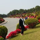 아카시아병원 이미지