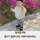 돌아기 걸음마 신발 씨엔타 메르세데스 벨크로 틴타도 22사이즈 착용 후기
