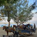 당나귀호스텔 이미지