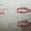 더나은퍼스널트레이닝스튜디오 이미지
