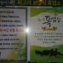 녹색흑염소 이미지