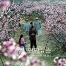 복사꽃마을협동조합 - 강릉시 진고개로 1826-11 | 복사꽃마을협동조합