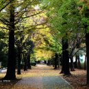 가음정사거리 이미지