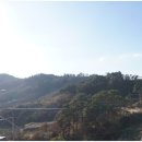 달샘펜션 이미지