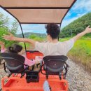 용산-현장-1383 | 김유정 레일바이크 현장 예매 소요시간 춘천 여행 코스