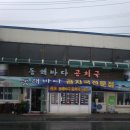 동해곰치 이미지
