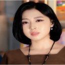 나비드 이미지