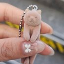 화수약국 | 가챠가 왜 이렇게 좋을까