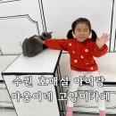 수원-1345 | 수원 호매실 야옹이네 고양이카페 후기｜아이와 가기 좋은 고양이카페 (키즈카페보다 좋았던 이유)