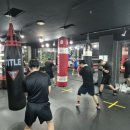 앨바트로 복싱 이미지