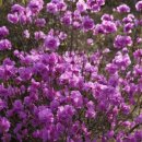 영생목장 이미지