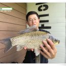 송전지 이미지