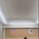 웰컴빅독 중대형견 유치원 네이버블로그