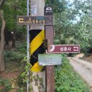 금강솔바람길 | 부여 성흥산성 최고의 명승지(대조사를 방문하시면 사랑나무를 만나보세요)