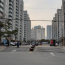 신성21공인중개사사무소 이미지