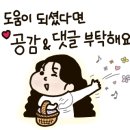꼬모키즈풀빌라2 이미지
